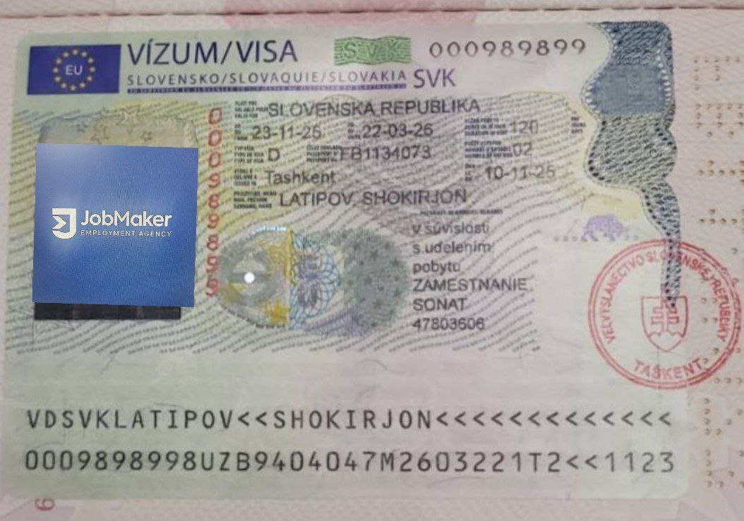 Визовый документ