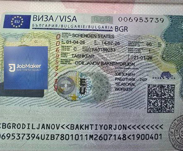 Визовый документ