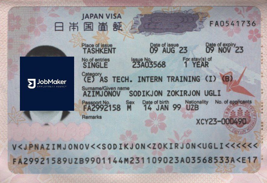 Визовый документ